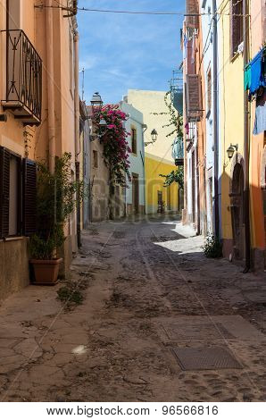 Narrow Street Flowered