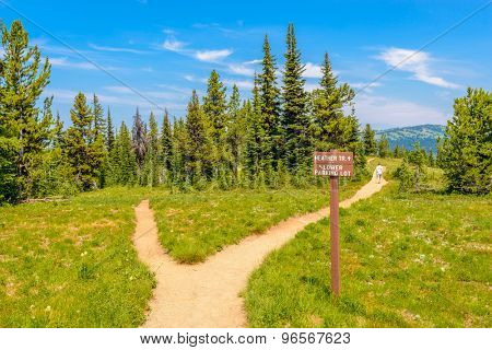 Beautiful Mountain Trail. Blackwall Peak Trail at Manning Park in British Columbia. Canada.