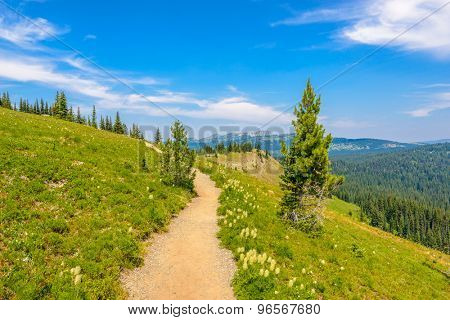 Beautiful Mountain Trail. Blackwall Peak Trail at Manning Park in British Columbia. Canada.