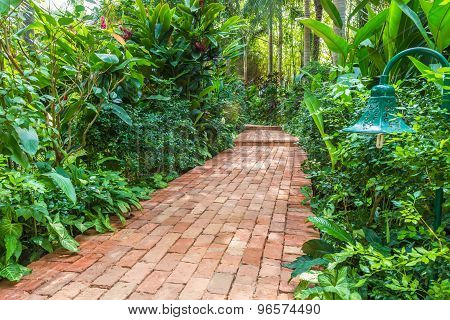 Brick Path In A Tropical Garden