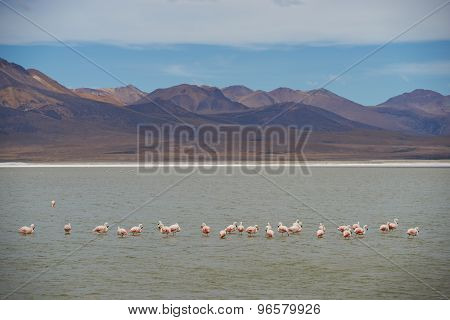 Salt Lake on the Altiplano