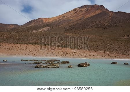 Hot Spring at Salar de Surire