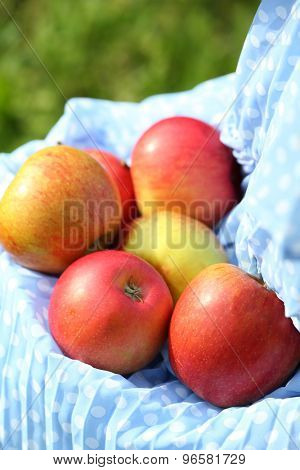 Red apple in hemline of female clothing, closeup