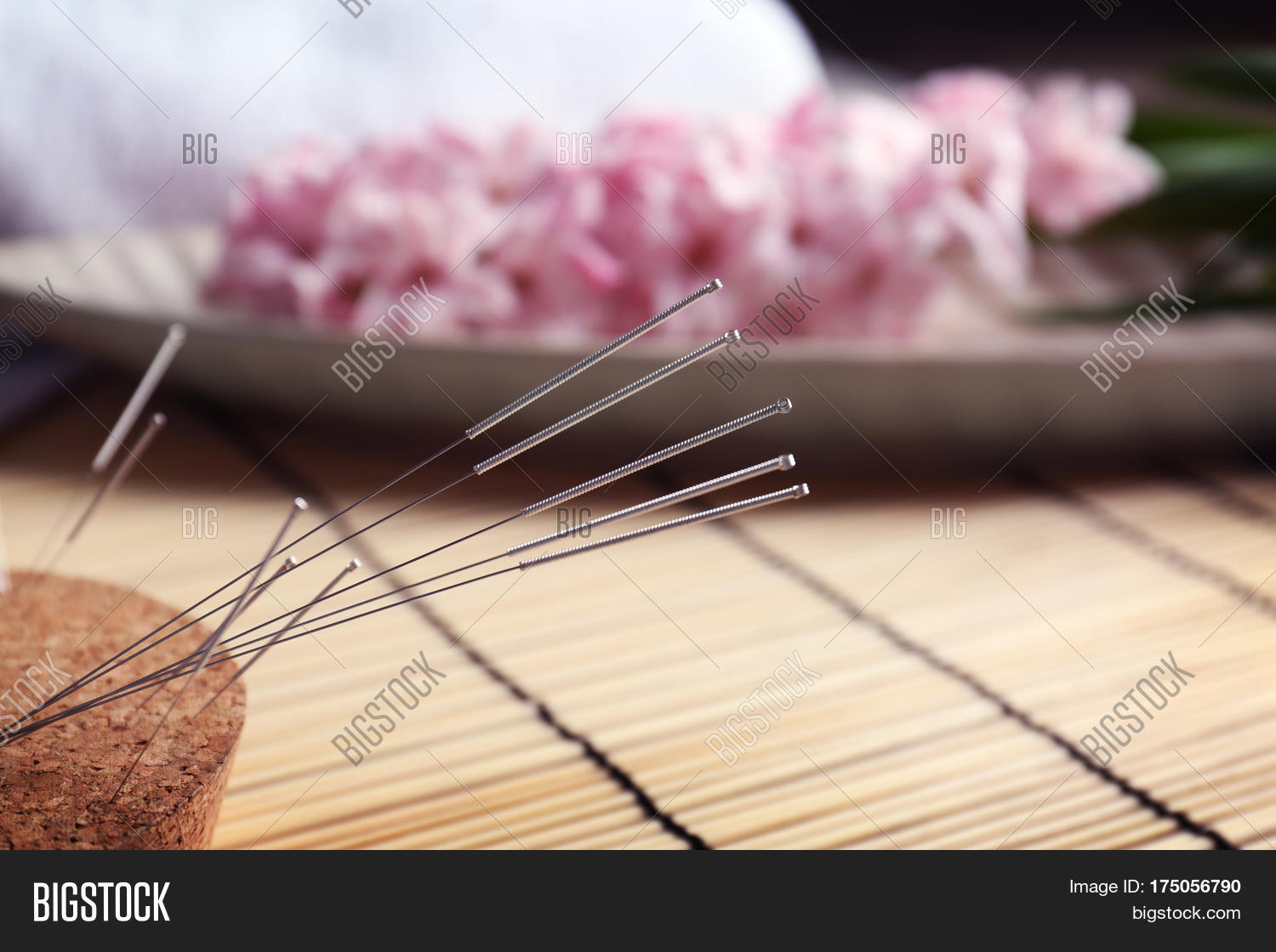 Acupuncture Needles Image & Photo (Free Trial) Bigstock