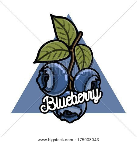 Color vintage fruits emblem Bluebarry, label, badge and design elements. Vector illustration, EPS 10