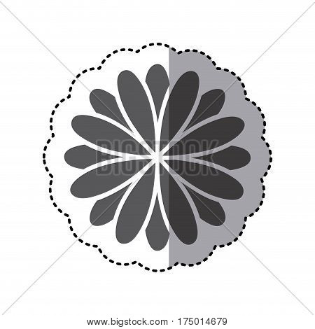 contour flower with petals icon, vector illustraction design image