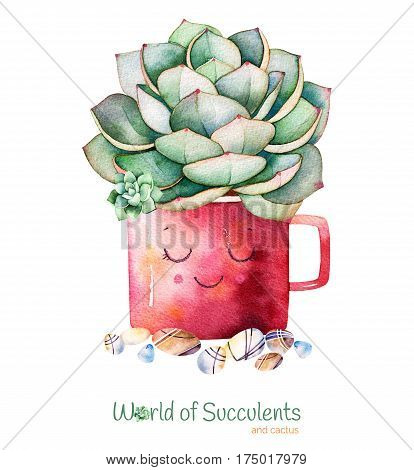 Watercolor handpainted succulent plant in pot and pebble stone.