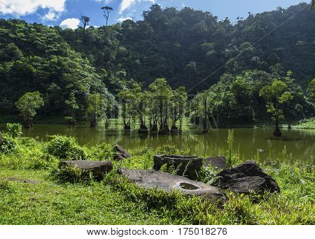 Mangrove forest and tropical lake between mountains. Rare botanical species of exotic nature. Green swamp water with trees. Disappearing ecosystem of mangrove forest. Green and blue peaceful scene