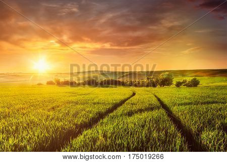 Beuatiful sunset in fields of Moravia, Czech Republic. With light leak and lens flare