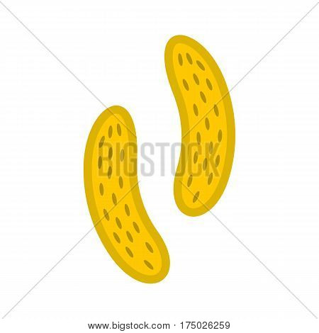 Epithelial cell icon in flat style isolated on white background vector illustration