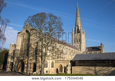 A view of the magnificent Norwich Cathedral in the historic city of Norwich UK.
