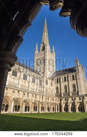 A view from inside the cloisters of Norwich Cathedral in Norwich UK.