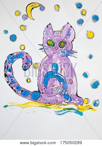 Monotyped Associative Image Of Cat