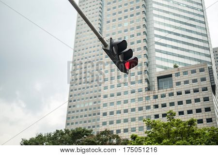 Hanging red lighted traffic light on the background of the green trees tops and a large skyscraper in Singapore. View from below. Horizontal.