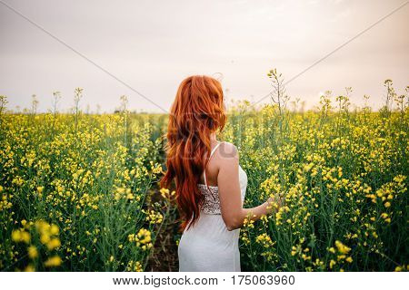 Young beautiful red-haired woman in a flowering rapeseed field at sunset with her back to the camera