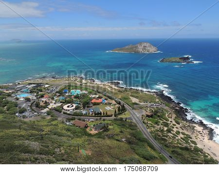 An Aerial Shot of Sea Life Park