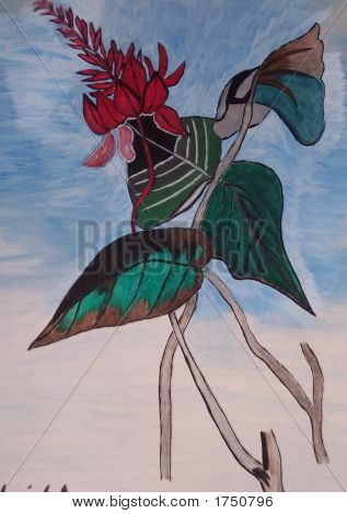 Keladi