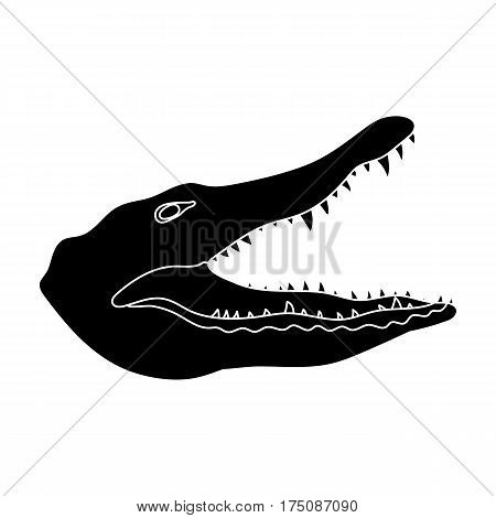 Crocodile icon in black design isolated on white background. Realistic animals symbol stock vector illustration.