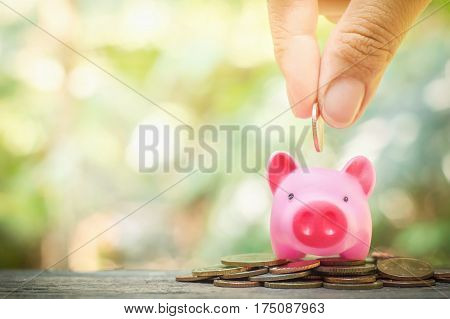 Close up of woman's hand putting coin into the pink piggy bank for saving concept
