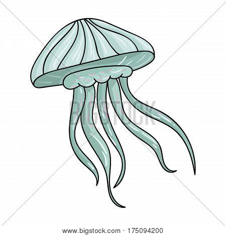 Jelly fish icon in cartoon design isolated on white background. Sea animals symbol stock vector illustration.
