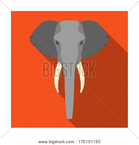 Elephant icon in flat design isolated on white background. Realistic animals symbol stock vector illustration.