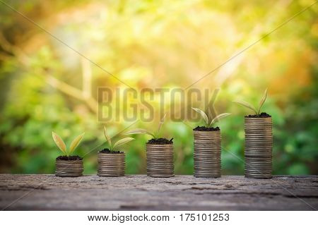 Plants growing up on stack of coins for business investment or saving concept