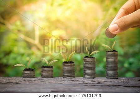 Close up of woman's hand putting coin plants growing up on stack of coins for business investment or saving concept