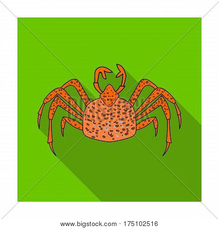 King crab icon in flat design isolated on white background. Sea animals symbol stock vector illustration.