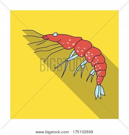 Shrimp icon in flat design isolated on white background. Sea animals symbol stock vector illustration.