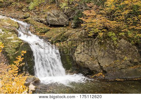 Cascade flowing between autumn teees in Minakami, Gumna