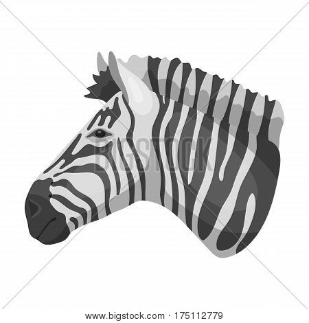 Zebra icon in monochrome design isolated on white background. Realistic animals symbol stock vector illustration.