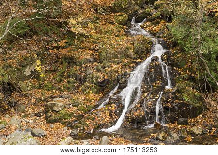Thin brook flowing through fallen leaves in Minakami, Gumna