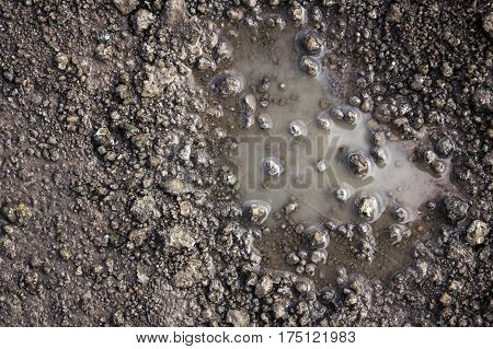 Close up wet country road in a spring natural abstract background