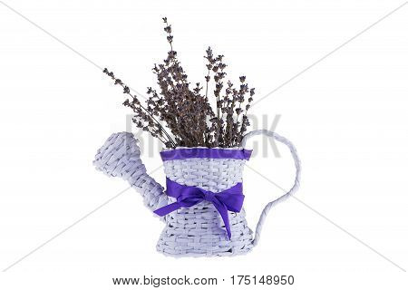 Paper pot with lavender and purple bow on white background