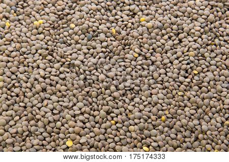 Lentil close up photo fbackground with text area.