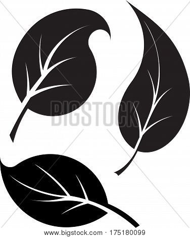 Set of 3 black leaves vector silhouettes