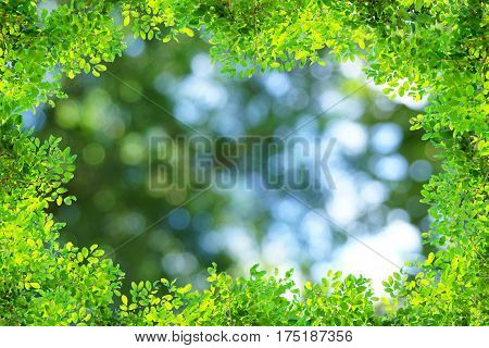 Green branch tree over nature blue and green bokeh light in spring or summer background, ecology concept