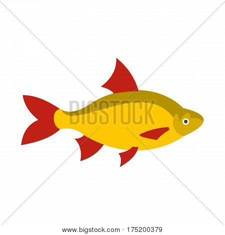 Scardinius erythrophthalmus icon in flat style isolated on white background vector illustration