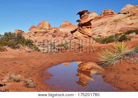 Coyote Buttes South
