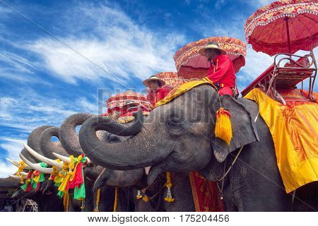 AYUTTHAYA, THAILAND - December 30, 2012: Staff on elephants waiting for tourists in Ayutthaya Historical Park.