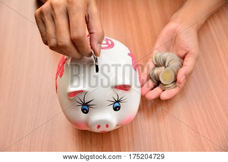 Person putting coin in piggy bank for saving and business concept.
