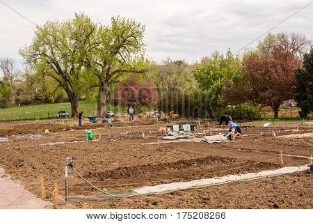 Community Garden