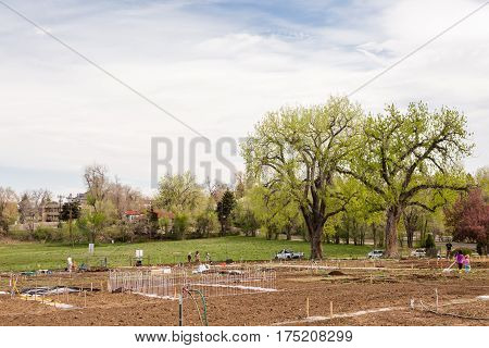 Community Garden