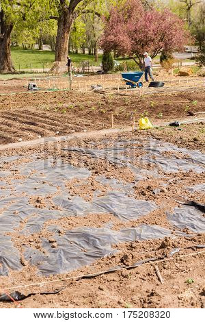 Community Garden