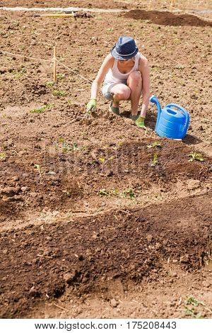 Community Garden