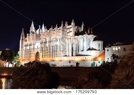 Palma Cathedral at night in Majorca Spain