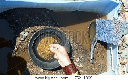 Male Hand touching fresh found gold pieces in a gold pan