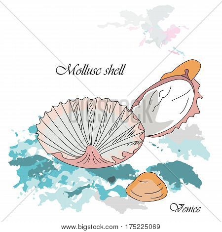 Adriatic shells used in kitchen of Venice on the blue background. Vector illustration.