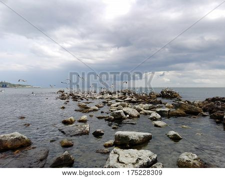 A lot of different stones on the beach and seagulls fly from the rocks