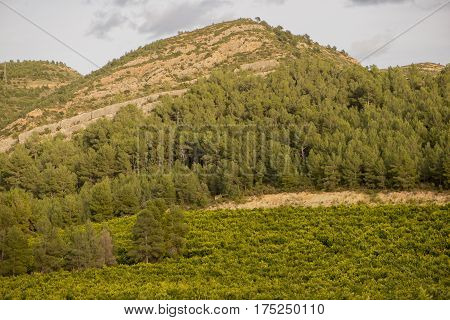 Landscape around Argelita in Castellon in Spain